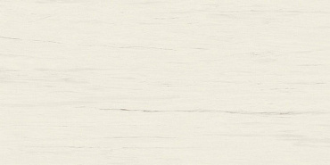 Marvel Bianco Dolomite 160x320RT Lappato купить в интернет магазине Artisan.ru
