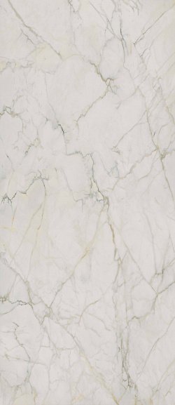 Керамогранит 0020813 VERSACE Ceramics Harmony 120x280