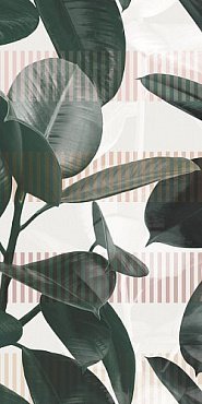 Керамогранит Olivia 50x100 купить в интернет магазине Artisan.ru
