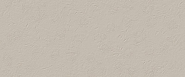 TRUE COLOR 50X120 WIND FOSSIL MATT купить в интернет магазине Artisan.ru