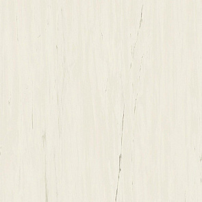 Marvel Bianco Dolomite 120x120 купить в интернет магазине Artisan.ru
