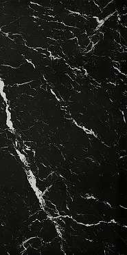 ROMA GOLD 60X120 NERO ELEGANTE BRILL купить в интернет магазине Artisan.ru