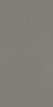 ФОРУМ СЛИМ АЙРОН 60X120 купить в интернет магазине Artisan.ru