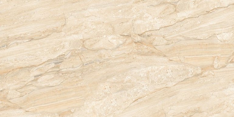 Керамогранит CV20192 Neodom Sale 60x120