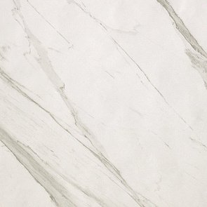 Roma 60 Statuario Matt купить в интернет магазине Artisan.ru