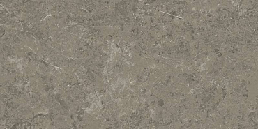 Marvel Meraviglia Grigio Elegante 60x120 купить в интернет магазине Artisan.ru